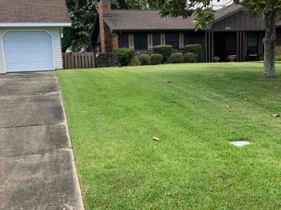 Lawn Care service in Biloxi, 39530
