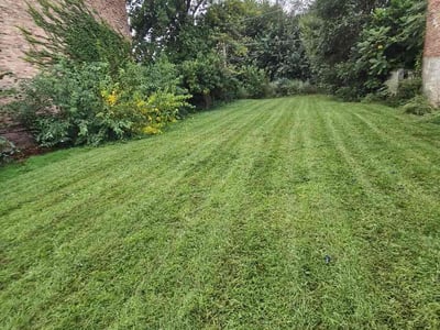 Lawn Care service in Elk Grove Village, 60007