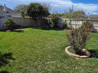 Lawn Care service in Amarillo, 79107
