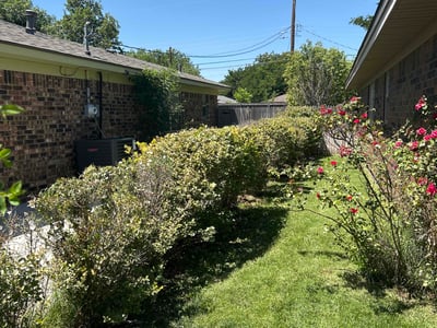 Lawn Care service in Amarillo, 79107