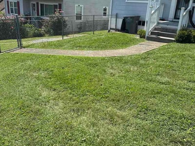 Lawn Care service in Rogersville, 37857