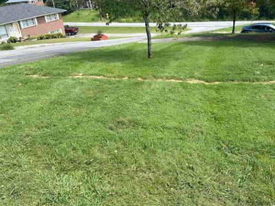 Lawn Care service in Rogersville, 37857