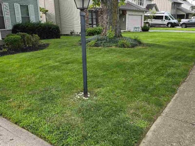 Lawn Care service in Pennsauken, 08110