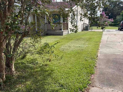 Lawn Care service in Houma, 70360