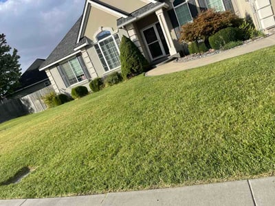 Lawn Care service in Richland, 99352
