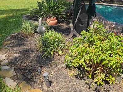 Leaf Removal service in Cypress, 77429