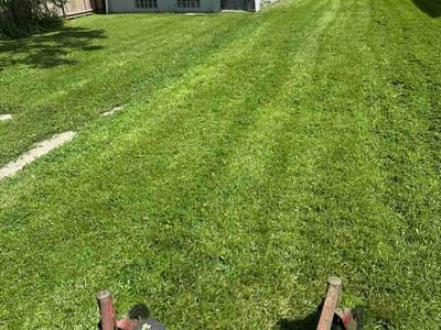 Lawn Care service in Downers Grove, 60515