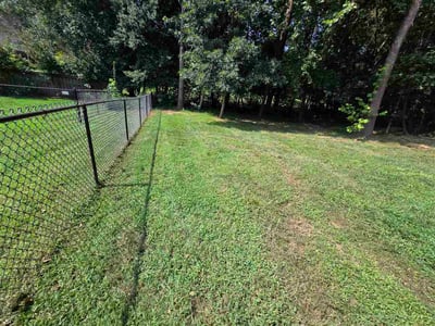 Lawn Care service in Lenoir, 28645