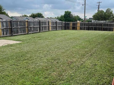 Lawn Care service in Belton, 76513
