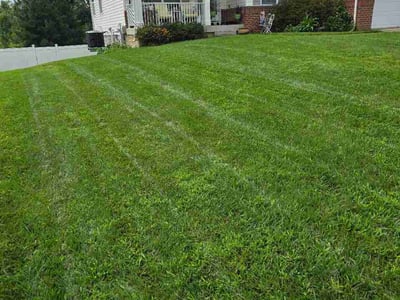 Lawn Care service in Aberdeen, 21001