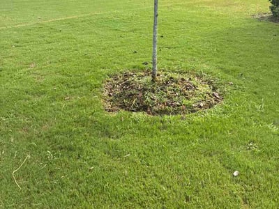Lawn Care service in Montevallo, 35115