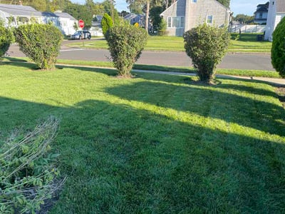 Lawn Care service in Cherry Hill, 08002