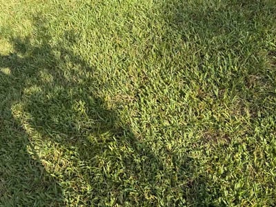 Lawn Care service in ,