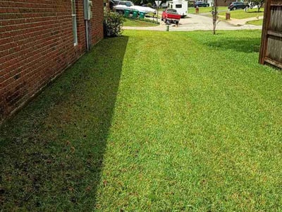 Lawn Care service in Pascagoula, 39567