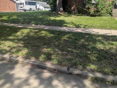 Lawn Care service in Champaign, 61820