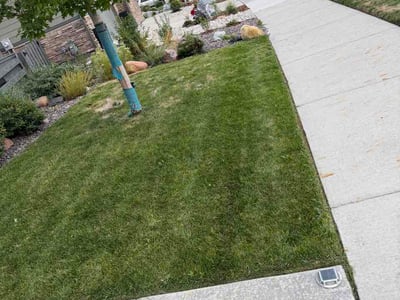 Lawn Care service in Louisville, 80027