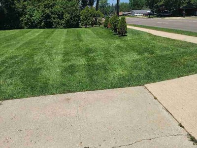 Lawn Care service in Champaign, 61820