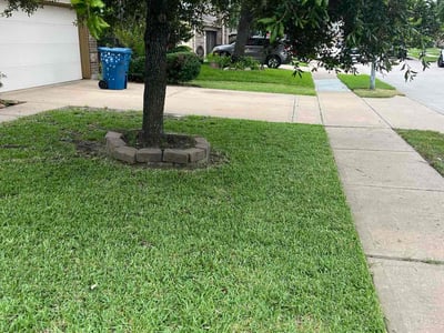 Lawn Care service in Chico, 95928