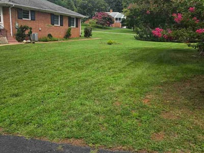 Lawn Care service in Charlottesville, 22902