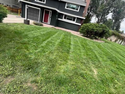 Lawn Care service in Longmont, 80501