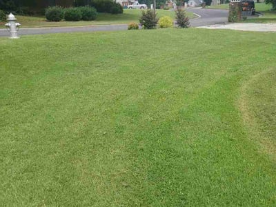 Lawn Care service in Paradise, 95969