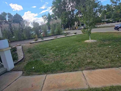 Lawn Care service in Loveland, 80537