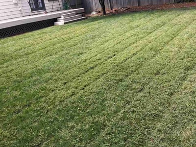 Lawn Care service in Lafayette, 80026