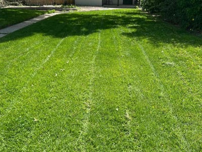 Lawn Care service in Lafayette, 80026