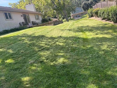 Lawn Care service in Sussex, 53089