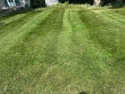 Lawn Care service in Sussex, 53089