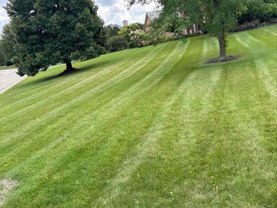 Lawn Care service in Hartland, 53029