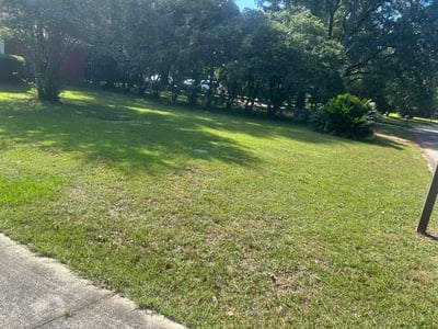 Lawn Care service in Foley, 36535