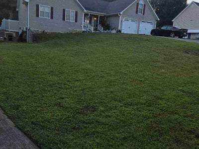 Lawn Care service in Chatsworth, 30705