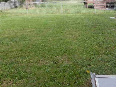 Lawn Care service in Joppa, 21085