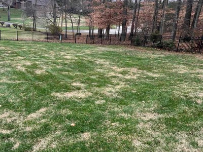 Lawn Care service in Mount Vernon, 98273