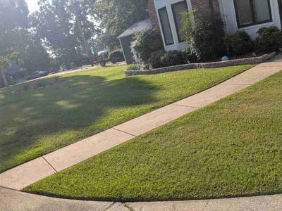 Lawn Care service in Pell City, 35125