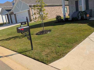 Lawn Care service in Pell City, 35125