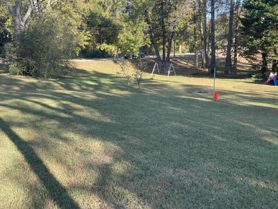 Lawn Care service in Mount Vernon, 98273