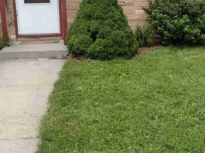 Lawn Care service in Kaukauna, 54130