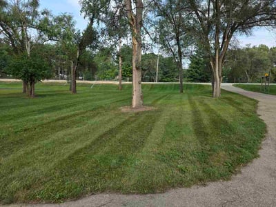 Lawn Care service in Urbana, 61801