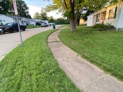 Lawn Care service in Truckee, 96161