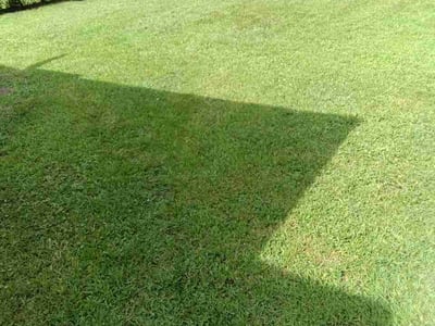 Lawn Care service in Truckee, 96161