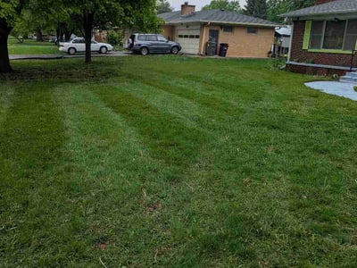 Lawn Care service in Mays Landing, 08330