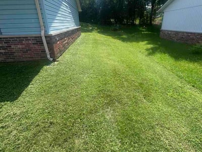 Lawn Care service in Mays Landing, 08330
