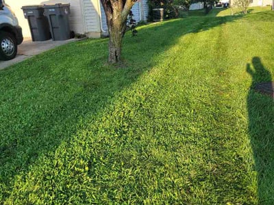 Lawn Care service in Mays Landing, 08330