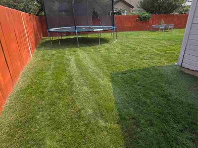 Lawn Care service in Meridian, 83642