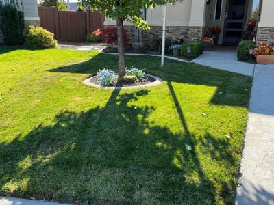 Lawn Care service in Meridian, 83642