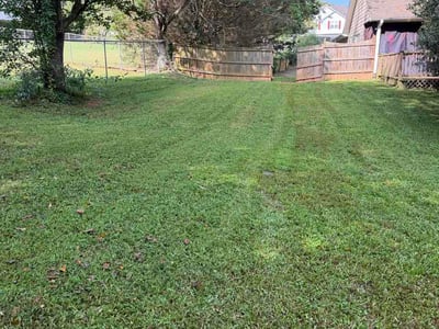 Lawn Care service in Auburn, 30011