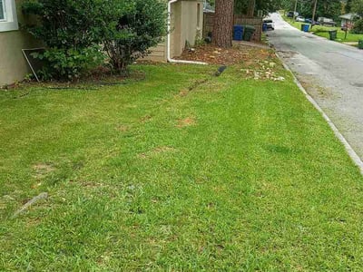 Lawn Care service in Ridgecrest, 93555