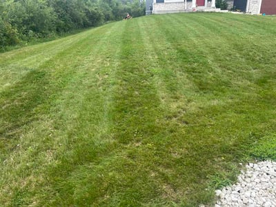Lawn Care service in Shorewood, 53211